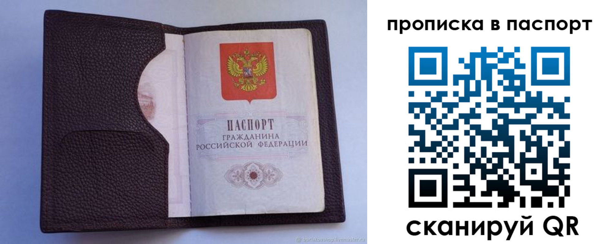 прописка законно в Гусеве